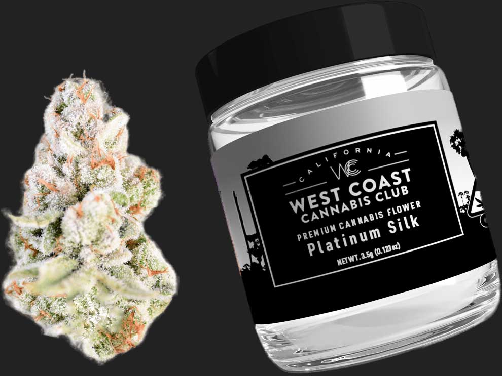 platinum silk flower